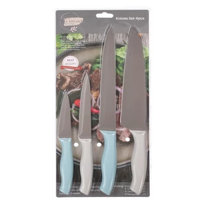 Knife Set, 4 Pieces, Stainless steel with Plastic Handle - Assorted Colors